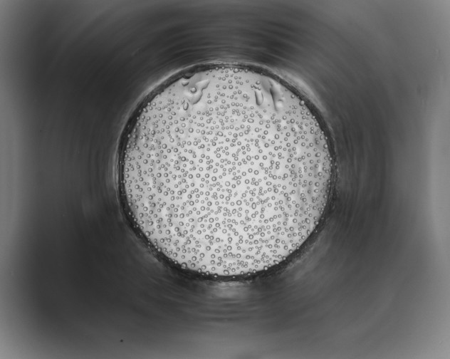 X0000088680839200706281940