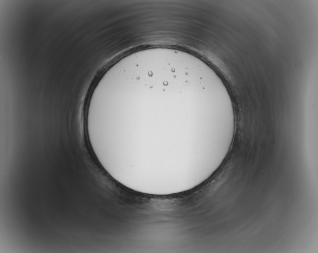 X0000088680840200706281940