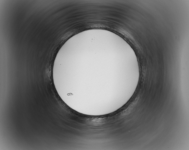 X0000088680841200706281940