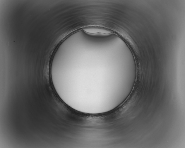 X0000088680842200706281940