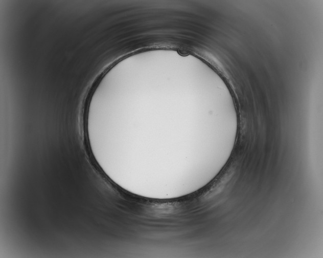 X0000088680843200706281941