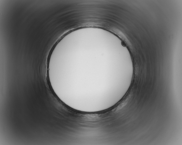 X0000088680844200706281941