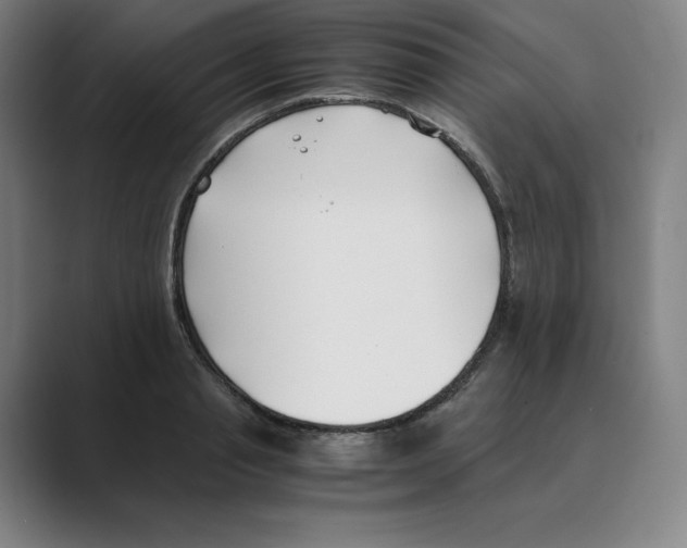 X0000088680845200706281941