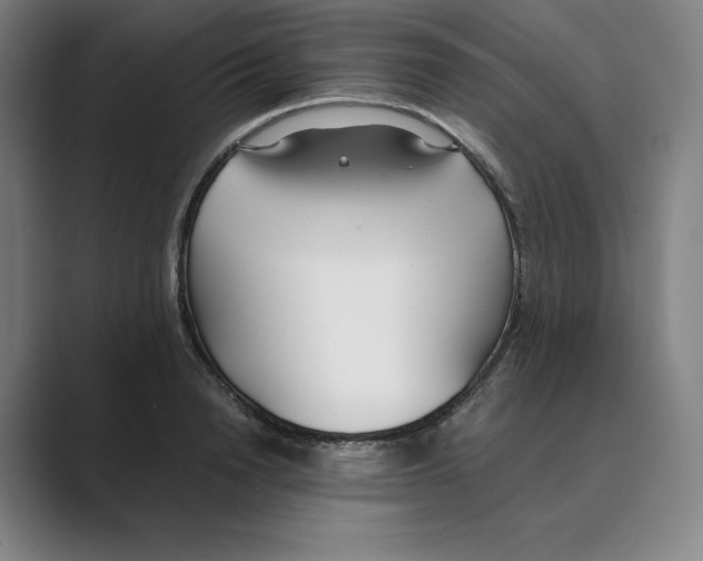 X0000088680846200706281941