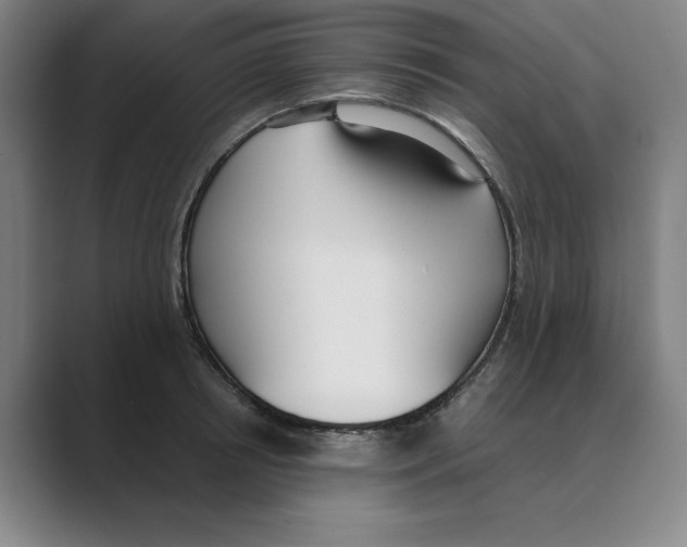 X0000088680850200706281941