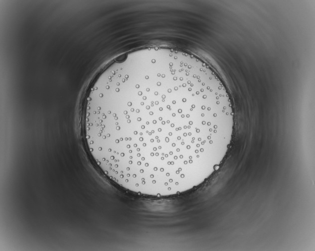 X0000088680851200706281941