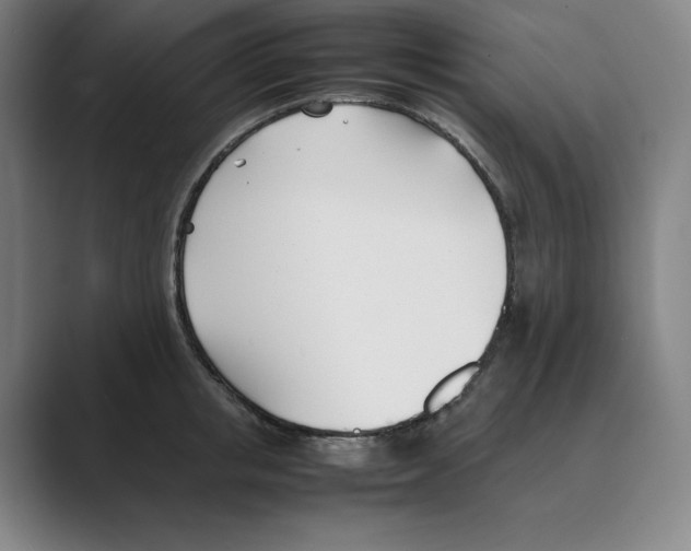 X0000088680853200706281941