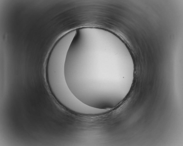 X0000088680854200706281941