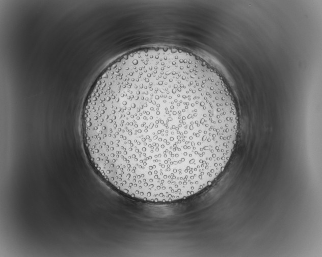 X0000088680855200706281941