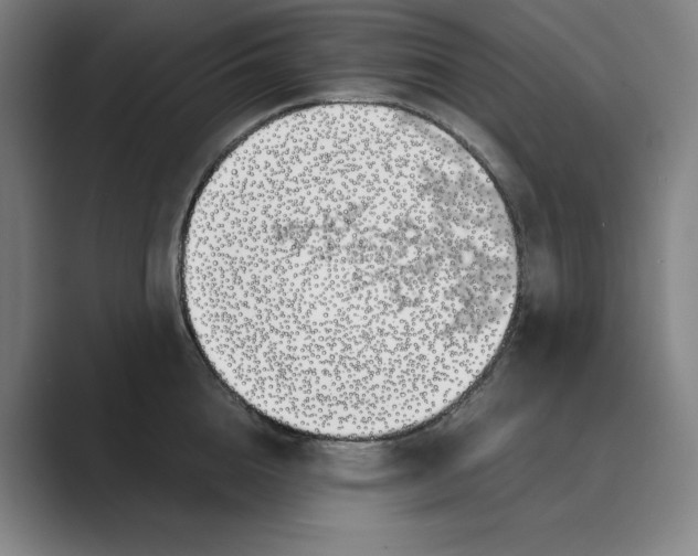 X0000088680856200706281941