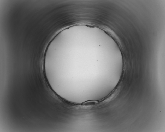 X0000088680860200706281941