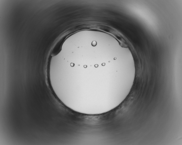 X0000088680861200706281941