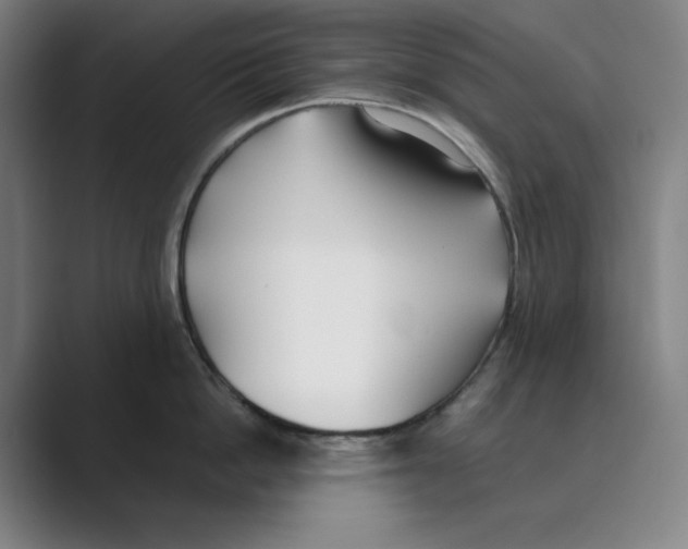 X0000088680862200706281941