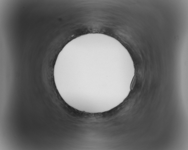 X0000088680865200706281940