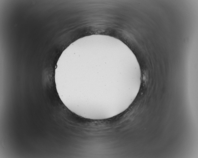 X0000088680867200706281940