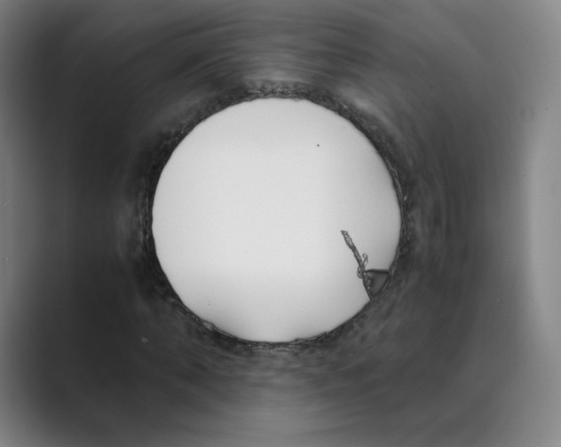 X0000088680870200706281940