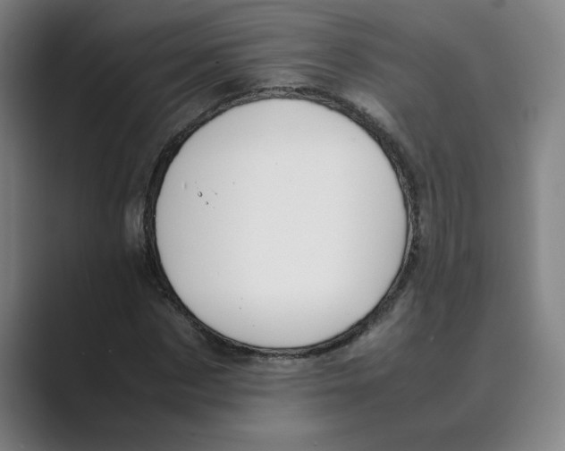 X0000088680873200706281940