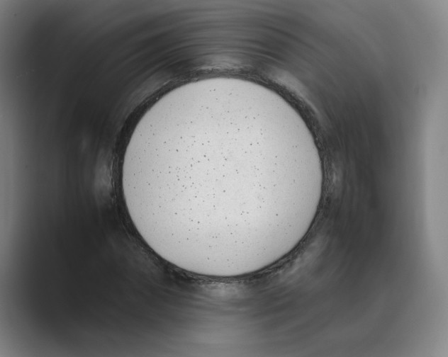 X0000088680874200706281940