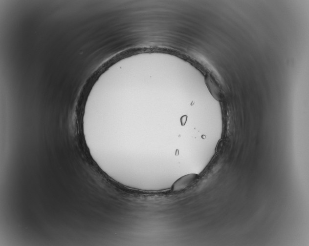 X0000088680876200706281940