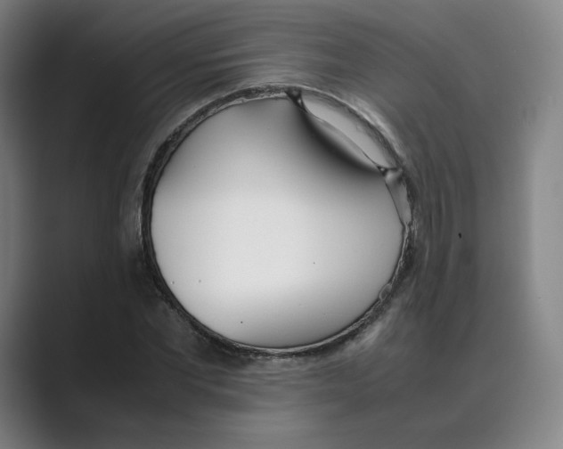 X0000088680877200706281940