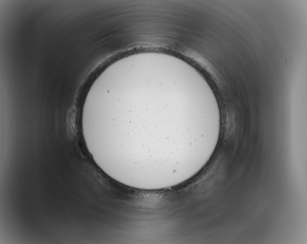 X0000088680878200706281940