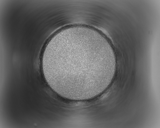 X0000088680879200706281940