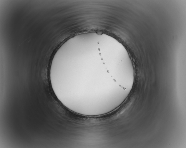 X0000088680881200706281940