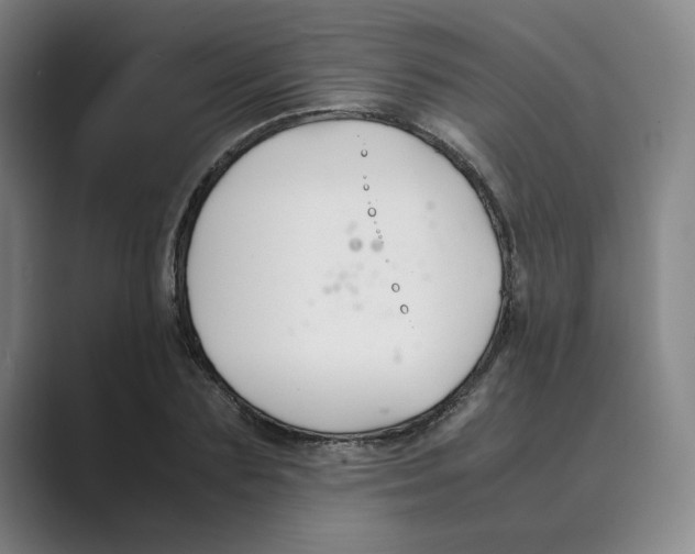 X0000088680883200706281940