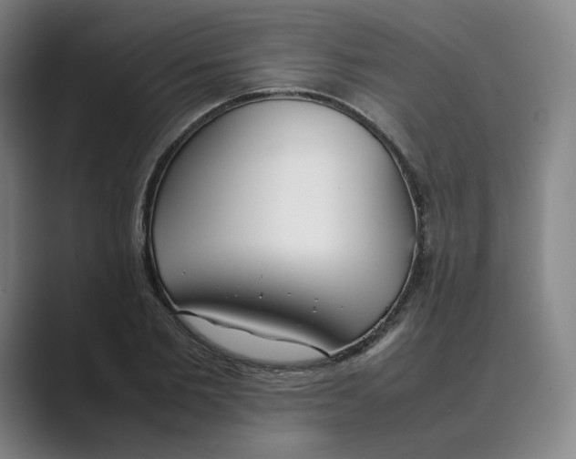 X0000088680885200706281940