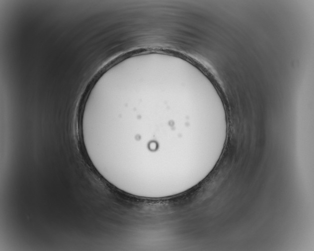 X0000088680887200706281940