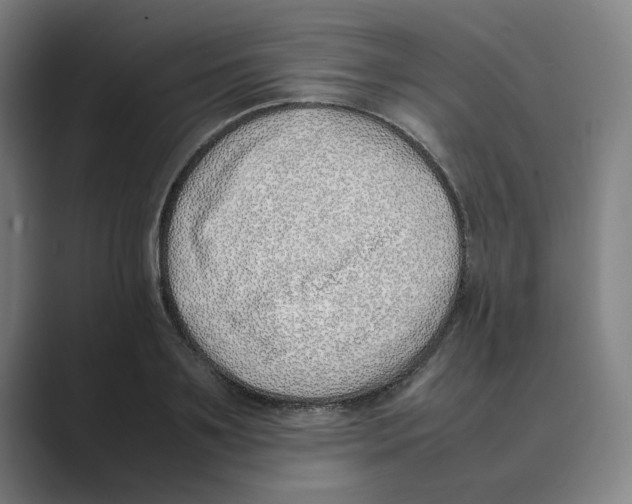 X0000088680891200706281940