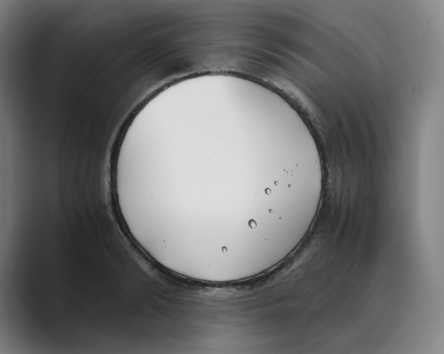 X0000088680894200706281940