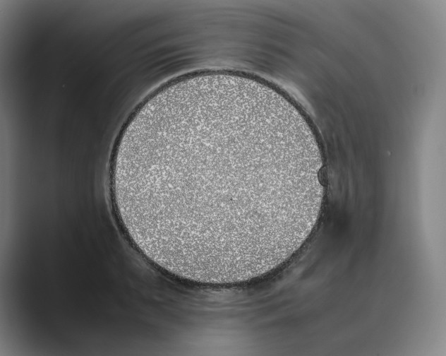 X0000088680895200706281940