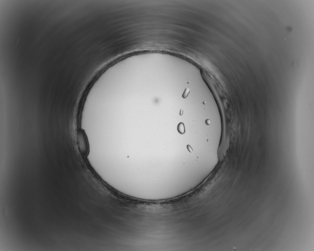 X0000088680896200706281940