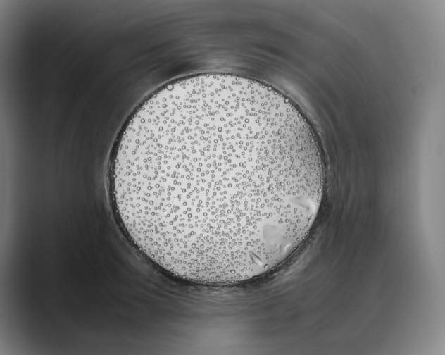 X0000088680899200706281940