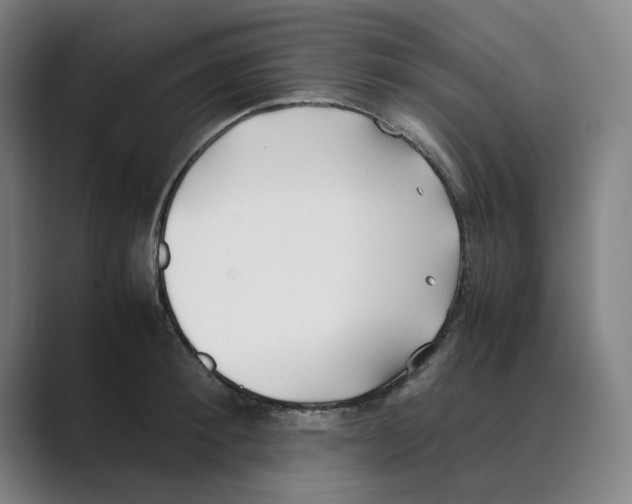 X0000088680900200706281940