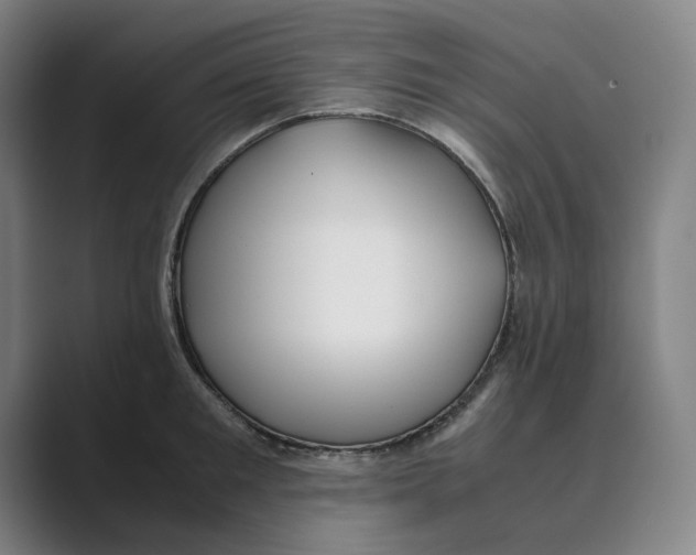 X0000088680901200706281940