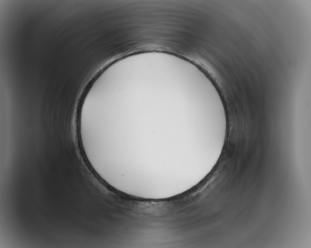 X0000088680902200706281940