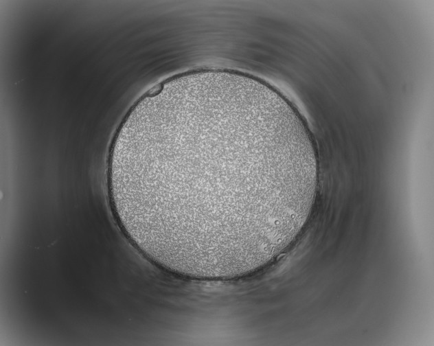 X0000088680903200706281940