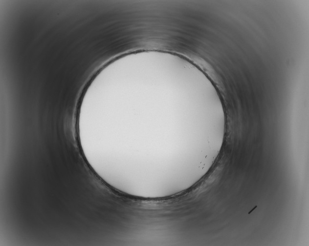 X0000088680904200706281940