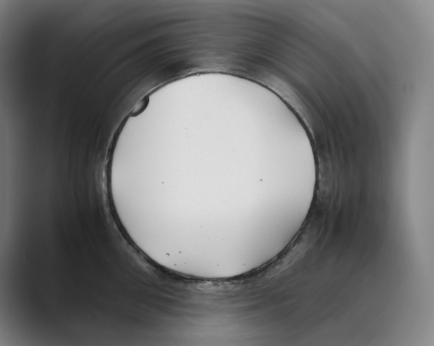 X0000088680906200706281940