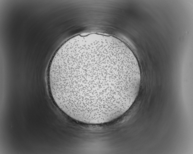 X0000088680907200706281940