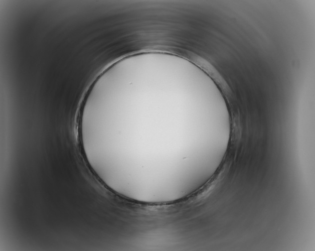 X0000088680908200706281940