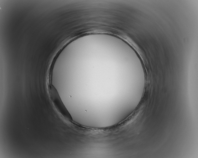 X0000088680909200706281940