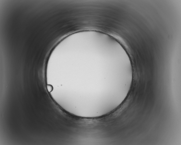 X0000088680910200706281940