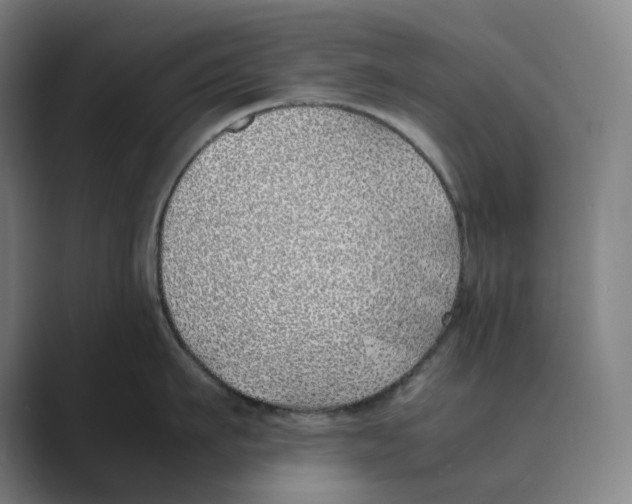 X0000088680911200706281940