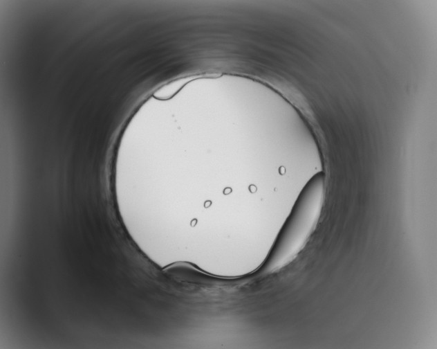 X0000088680912200706281940