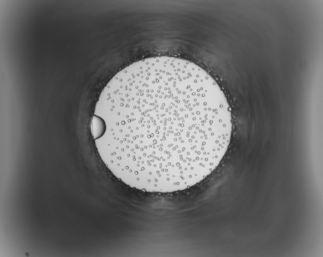 X0000088680913200706281939