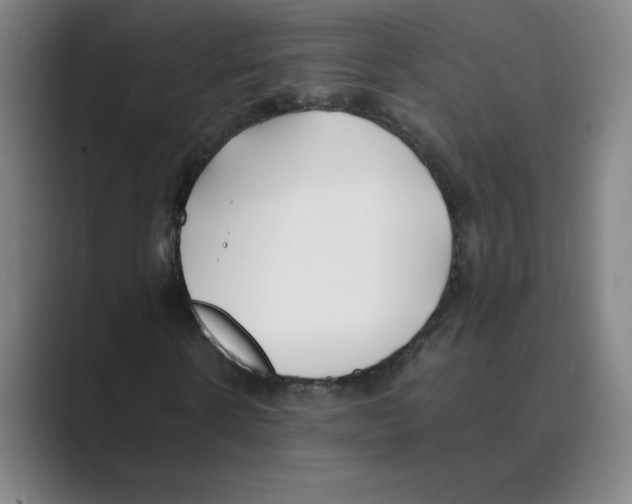 X0000088680914200706281939