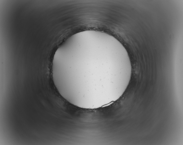 X0000088680916200706281939